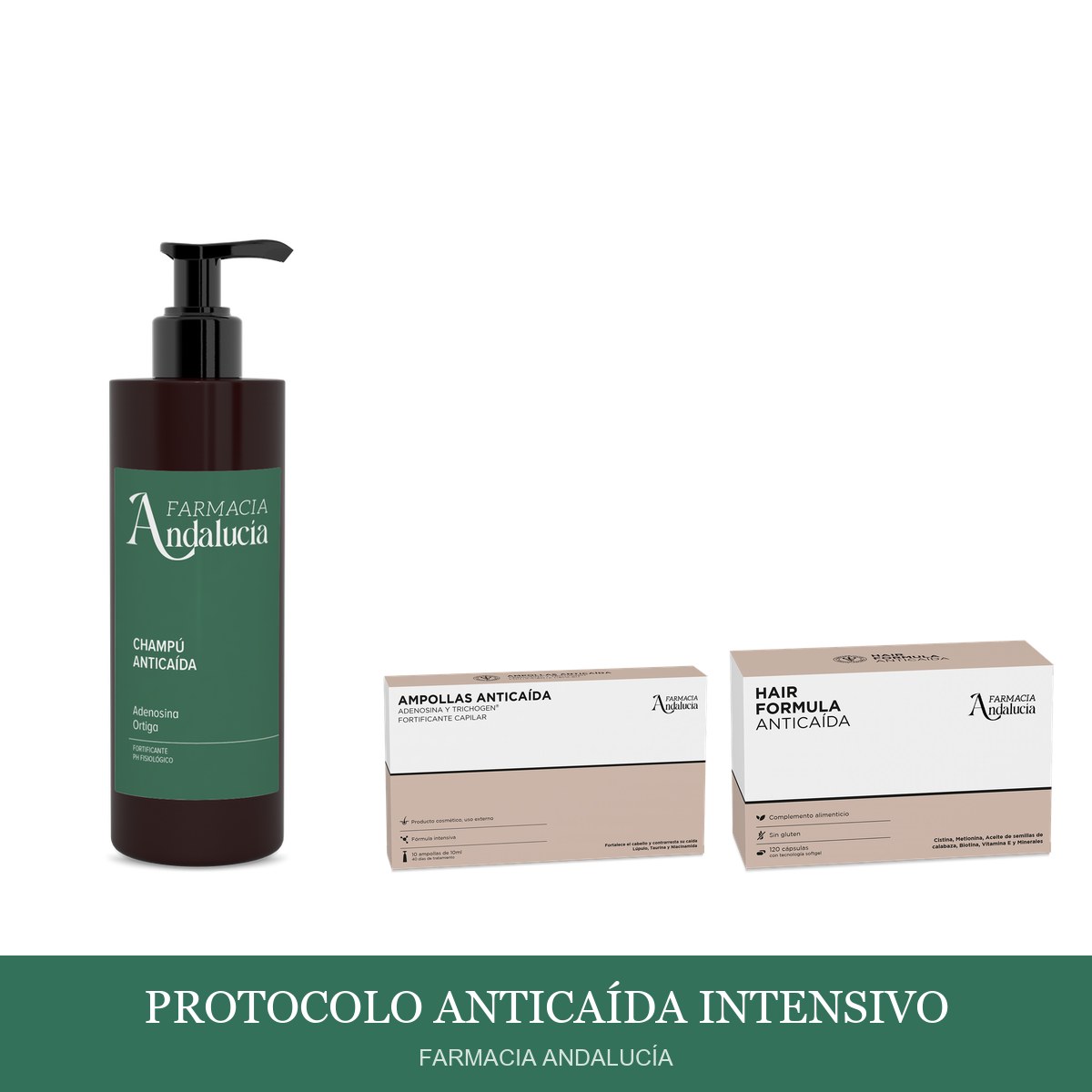 Protocolo Anticaída Intensivo