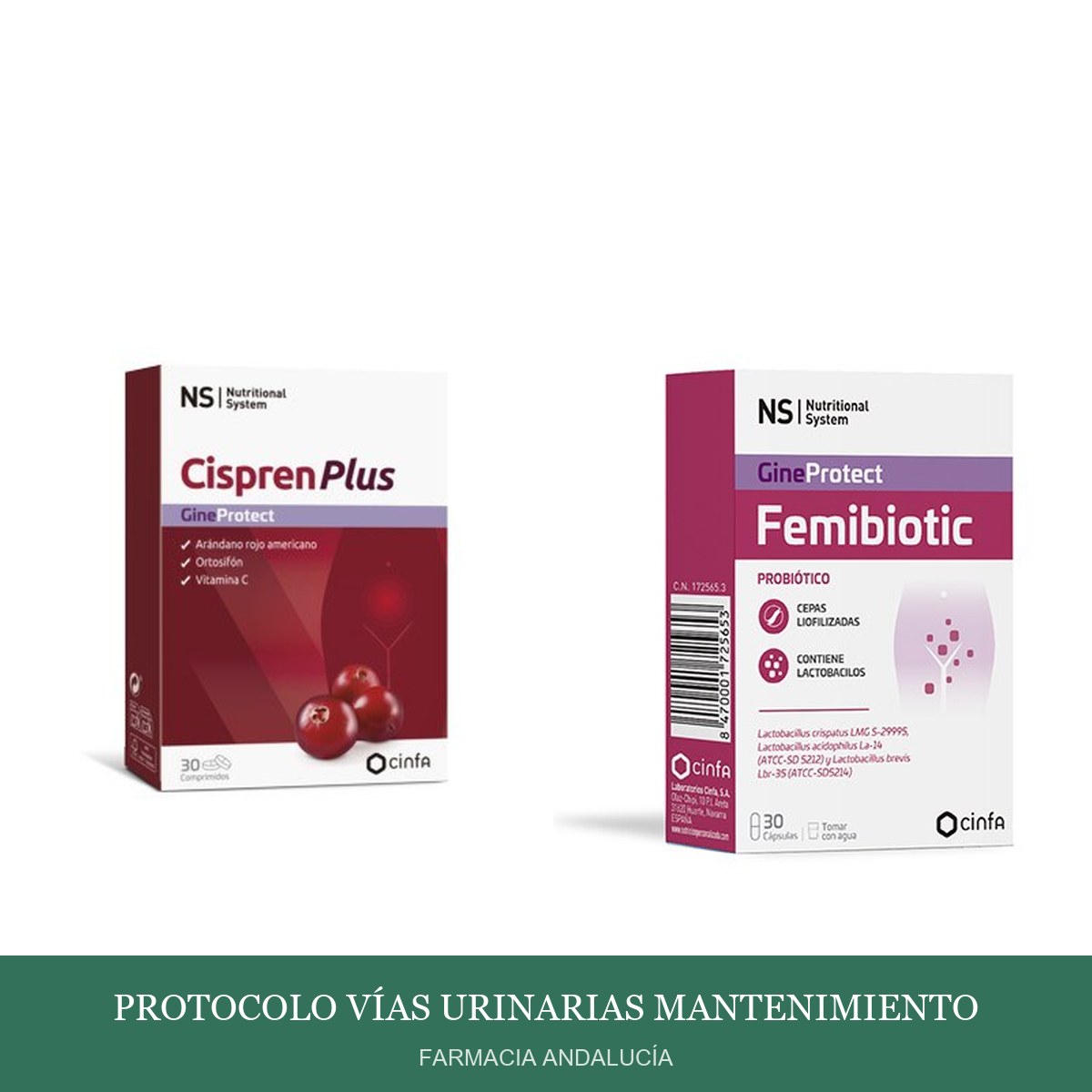 Protocolo Vías Urinarias Mantenimiento