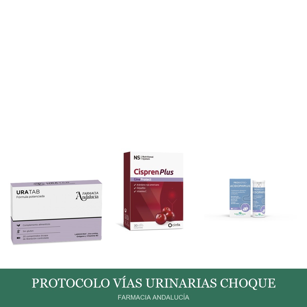 Protocolo Vías Urinarias Choque